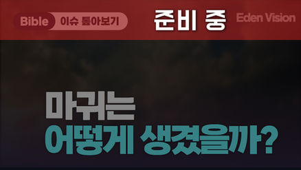 마귀는 어떻게 생겼을까?