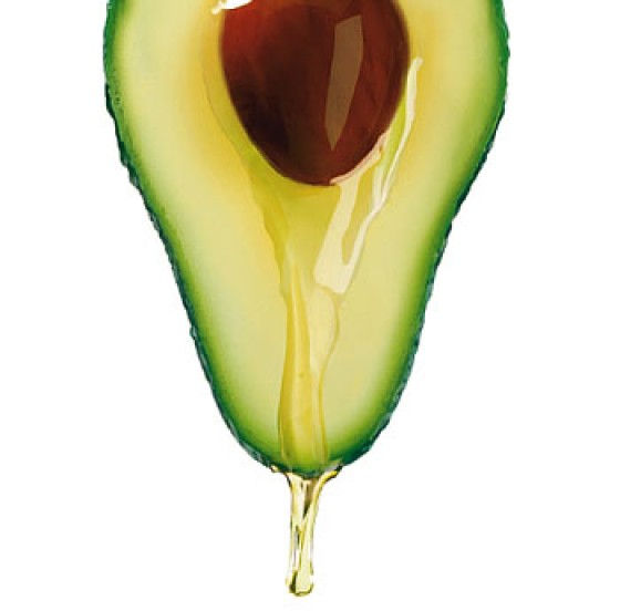 AGUACATE