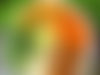 Buddha Bowl with cauliflower rice, tempeh, and carrot salad – ideal for the follicular phase