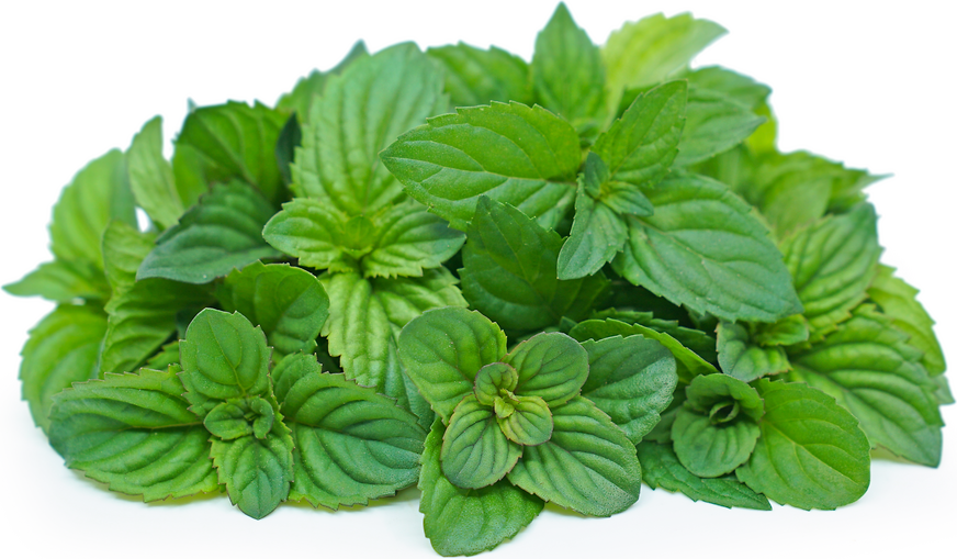 Orange Mint