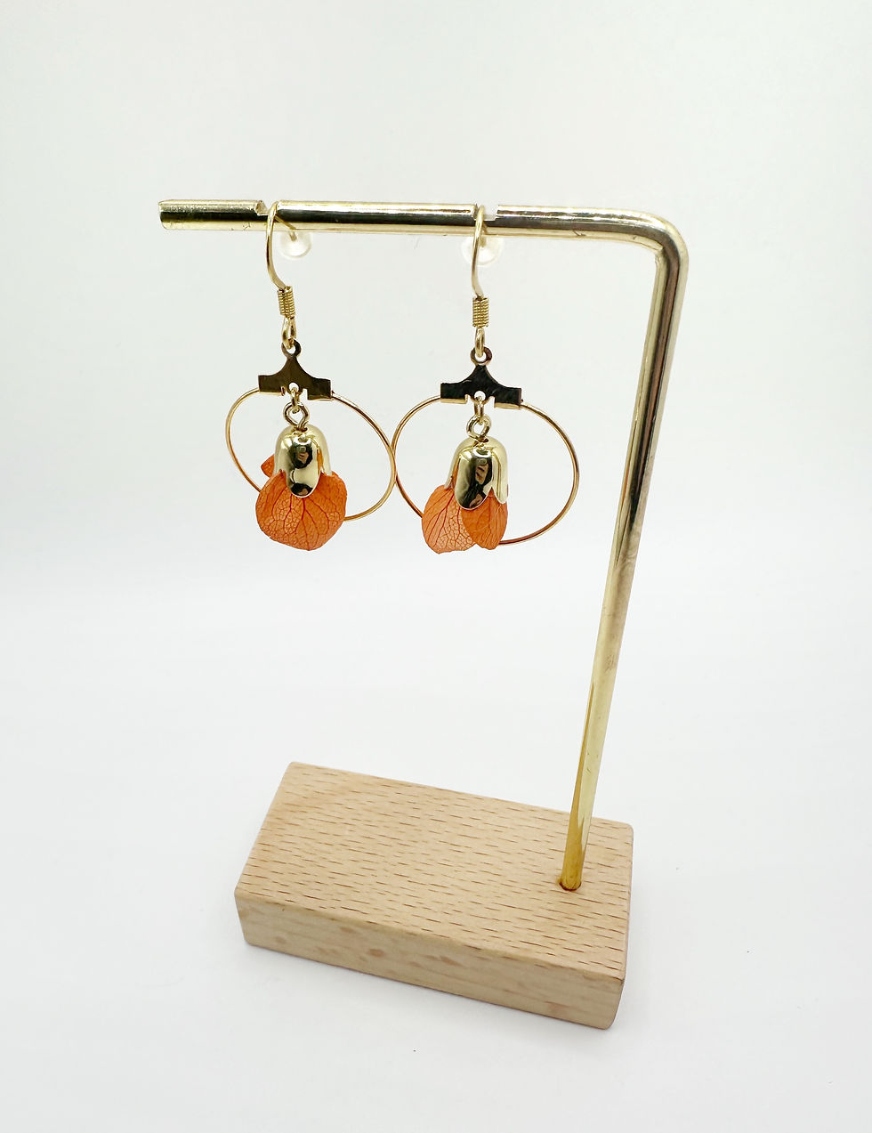 Miniature : LA MINI MODESTE