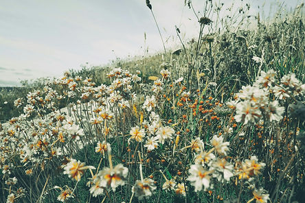 aperture-vintage-kEVjylLGy1k-unsplash (1).jpg