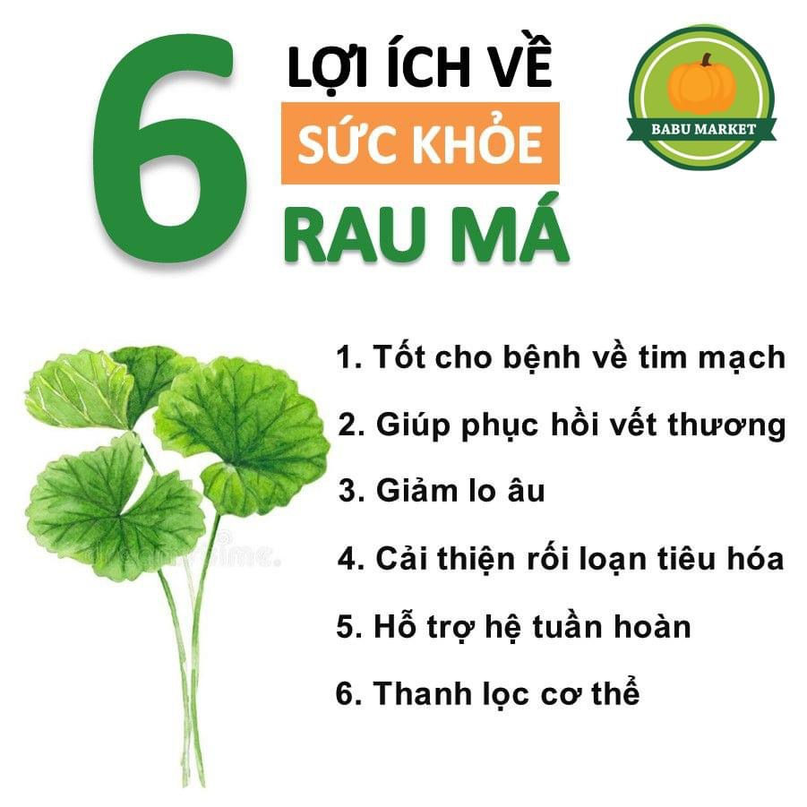 Thumbnail: Bột Rau Má Sấy Lạnh