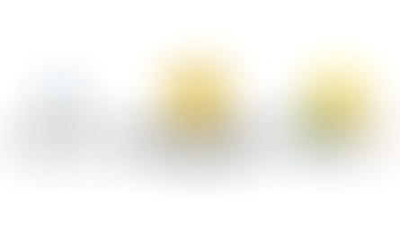 Dynamic Equity Splits in Malaysian Startups: Applying the Slicing Pie Model