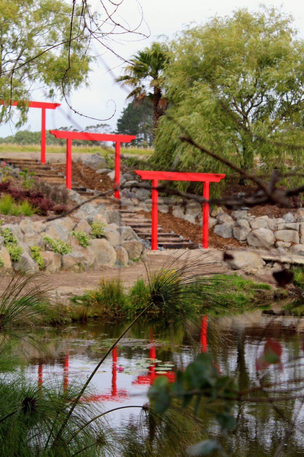 Torii Gates
