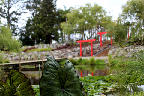 The Chinese Inspired Pond Garden