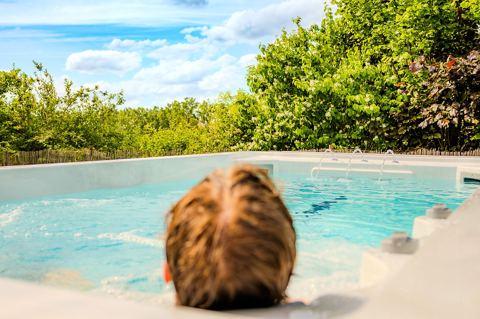 Spa de nage et jacuzzi