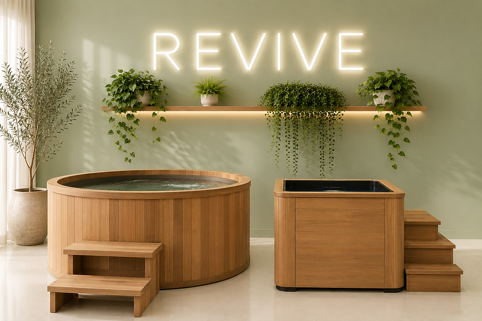 Revive Internal Render