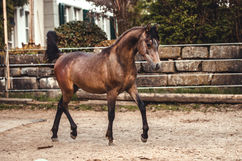 BEC_0027-Bearbeitet Kopie.jpg