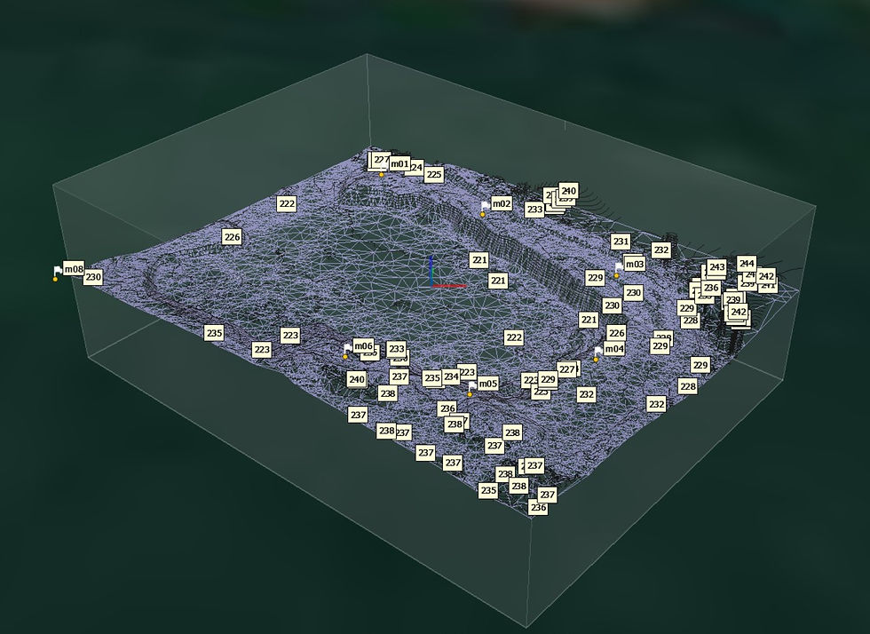 Malla de triangulación 3D