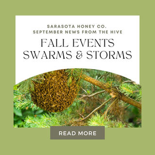 September Newsletter: Fall Hours and Events, Swarms, and Storms.