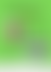 HERITAGE WEEK 16TH - 22ND AUGUST