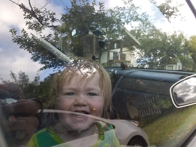 noble in car through window.jpg