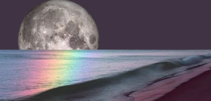Full Moon in Taurus Meditation, Sound Healing, and Cacao Bliss with Yvonne