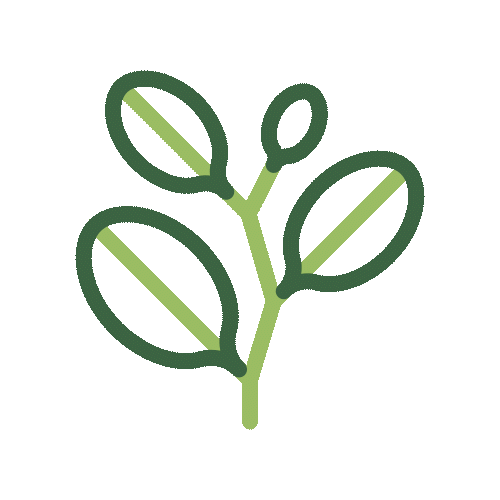 Implantação da Agrorio