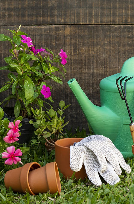 Jardinage - LG Services