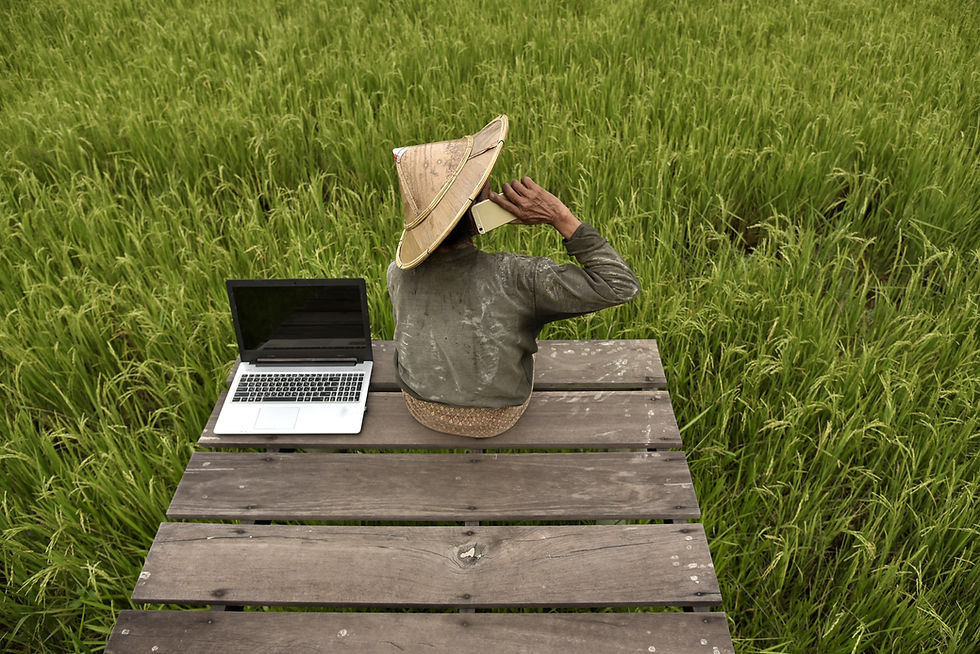 Grow Asia and Viet Nam's Ministry of Agriculture and Environment renew partnership and launch AI skills program for coffee and rice farmers