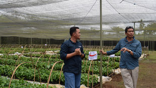 A compelling case for multi-stakeholder cooperation from Lampung, Indonesia