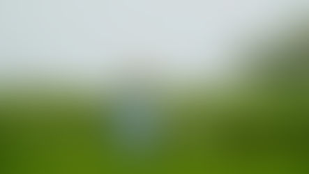 Charting Asia’s Agri-food Transformation