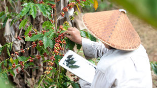 Shifting Investments Toward the Smallholder Farmer
