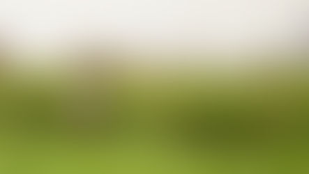 The Importance of Carbon in Agriculture and Forestry
