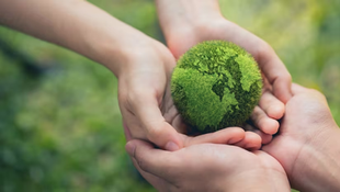 Empowering farmers to make the regen ag transition is key to unlocking Asia’s agricultural potential