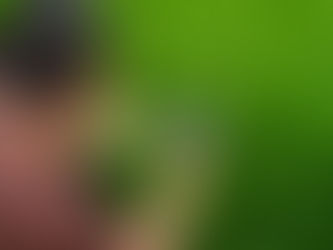 From Innovation to Impact: Why Digital Agriculture in ASEAN Is a Delivery Challenge