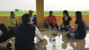 Understanding the potential of digital applications for rice farmers in Indonesia