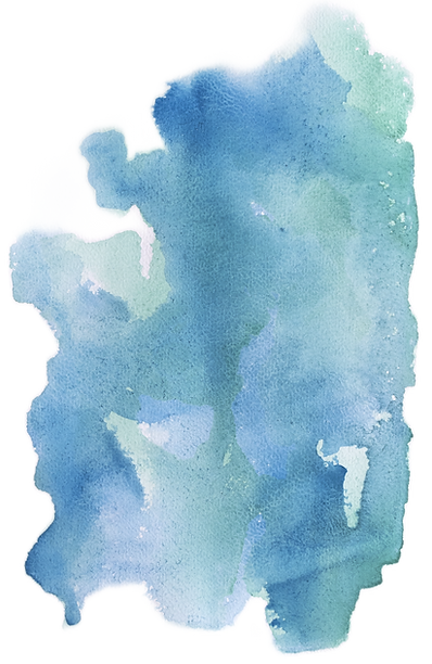 08_had_skvrna.png