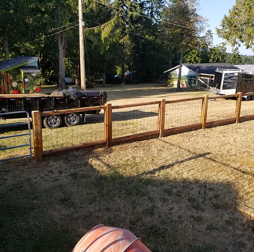 20190815_181650.jpg