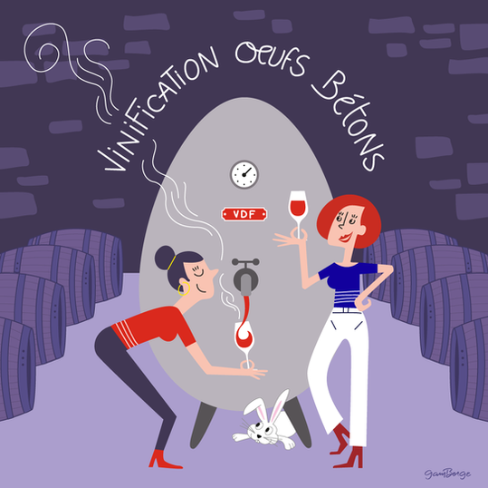 Illustration , Vinification Oeufs Beton, Anivin de france, vin de france