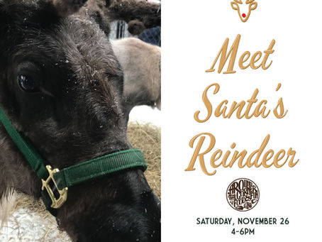 Meet Santa's Reindeer