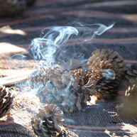 WhatsApp Image 2021-05-17 at 15.24.09.jpeg