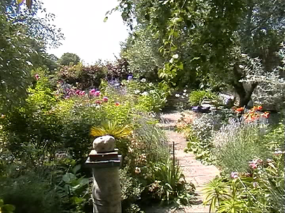 Grabbed Frame 15.bmp