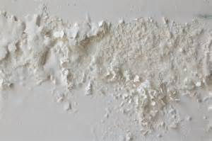 efflorescence salts