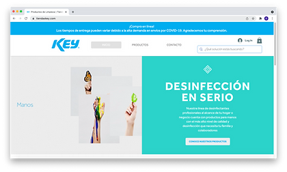 tiendaskey - web.png