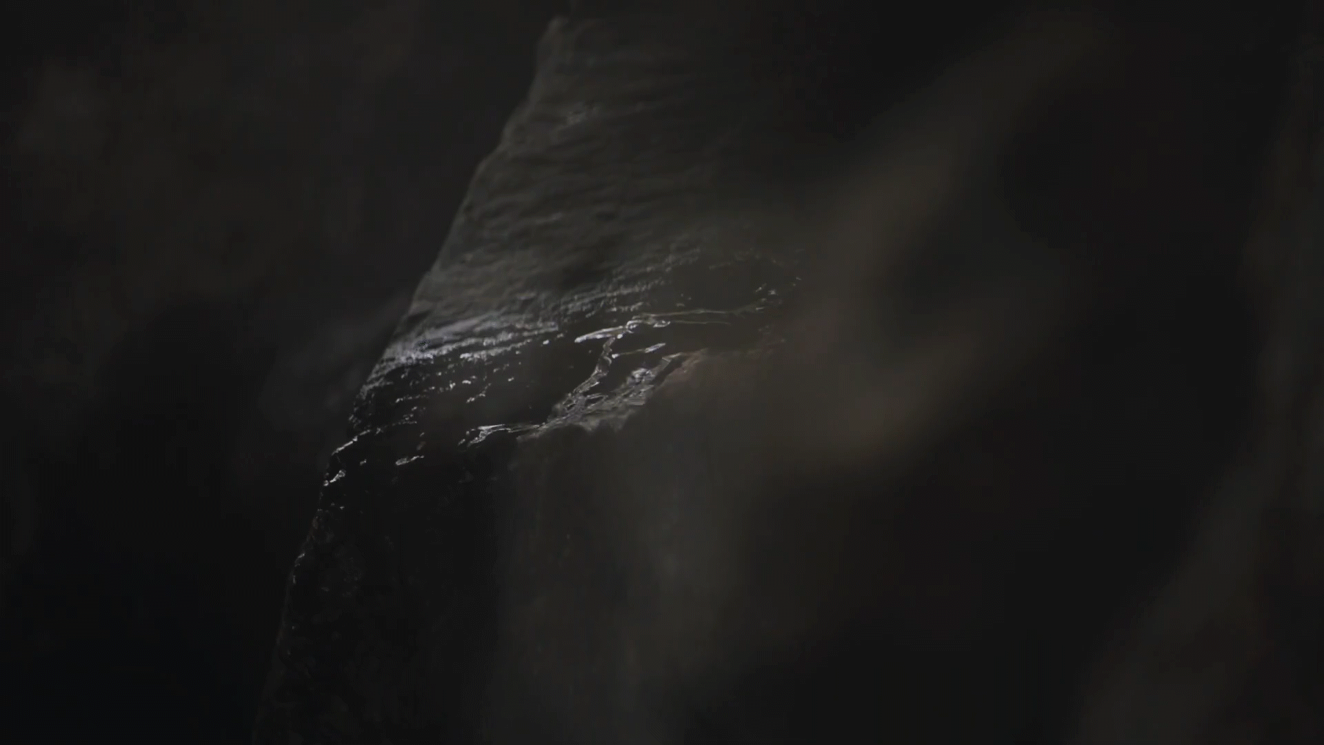 videoplayback_1_1.gif