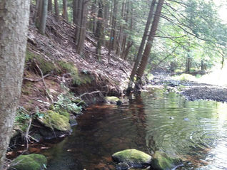 Cheshire Land Trust Helps to Acquire Mill River Open Space for Town