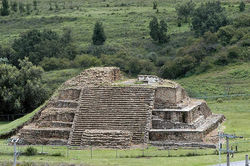 Tour Santuario de Luciernagas