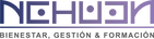 Logo Holding Nehuen 
