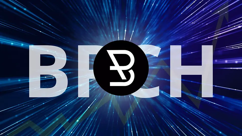 Baily Pay Cash (BPCH) zeigt ein Wachstum von 600% auf der Binance Smart Chain (BSC) in den ersten 7 Monaten.