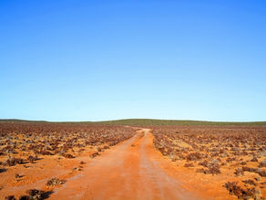 Impacts of Heat Exposure on Productivity Outcomes