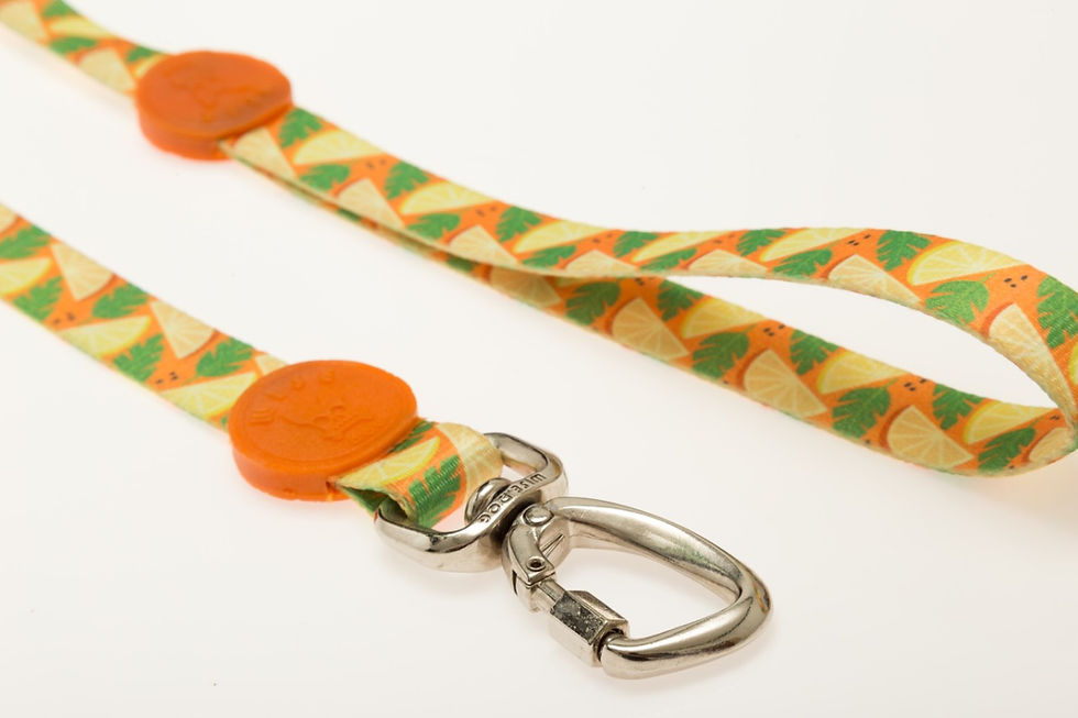 Miniatura: Correas Wise Dog