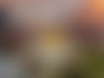 Fort Worth city skyline with "2025 Bassmaster Classic" text overlay. Orange sunset, river, and green park are visible. Mood is dynamic.