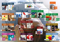 O Organograma do CEVA