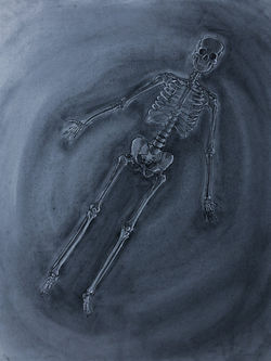 D2299995-6B87-4711-8502-5706E9FE545F