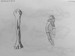 DA527BB6-6642-4BF8-BE5E-0AC11B0CCC26