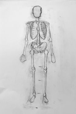 69D8A606-027C-4E0A-9536-9386B5336FDA