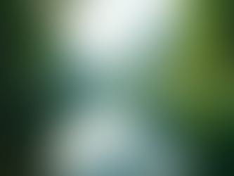 Exploring Insights: Uncover Unique Perspectives on Life