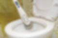 1_QuattroScrubber_ActionTOILET.jpg